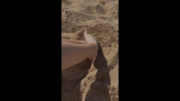 simply kel short vids