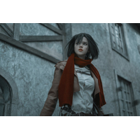 Shirogane-sama Mikasa Ackerman Set