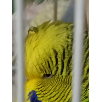 camera (up to 26.08.23)