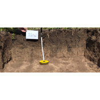 Soil 11